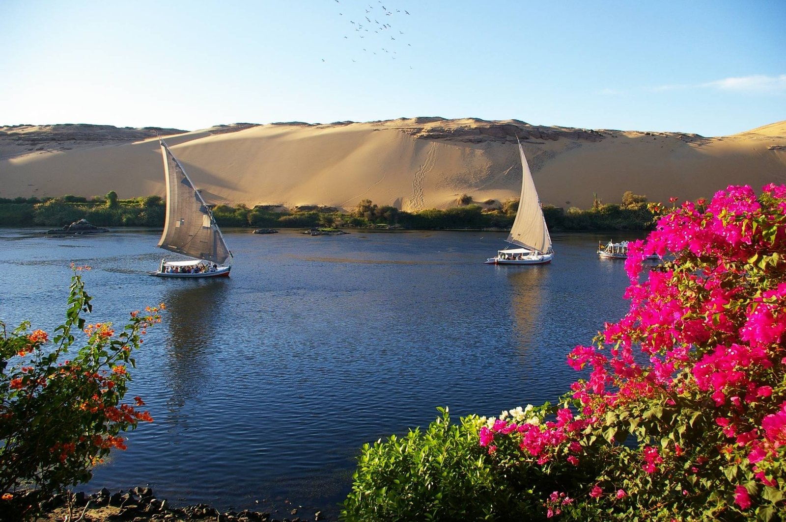 Day Six: Unleash Your Spirit with the Charm of Aswan