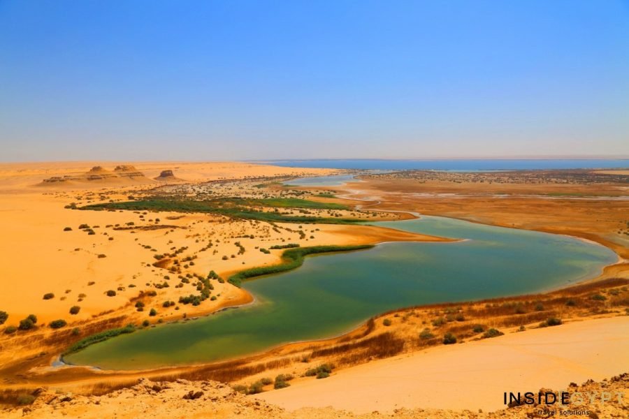 Tour to Fayoum Oasis From Cairo