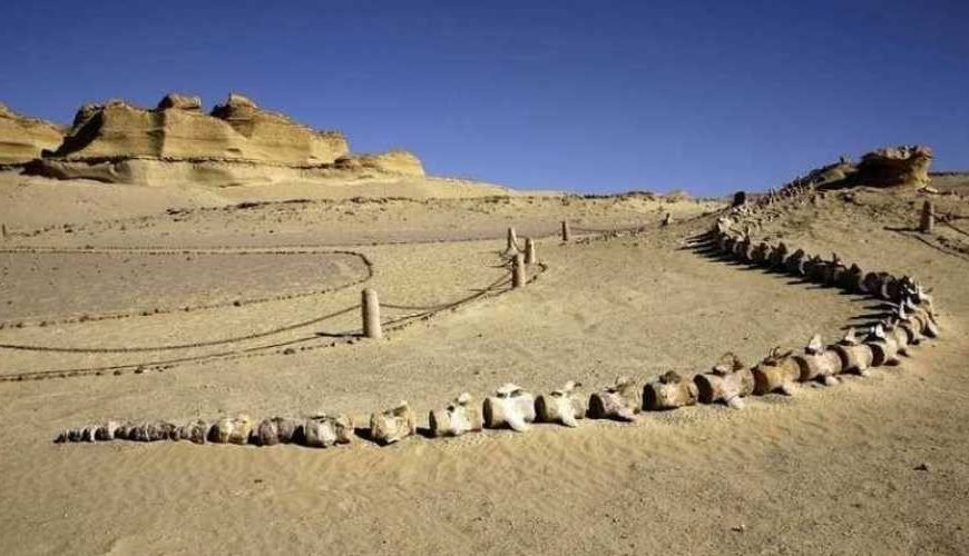 Fayoum