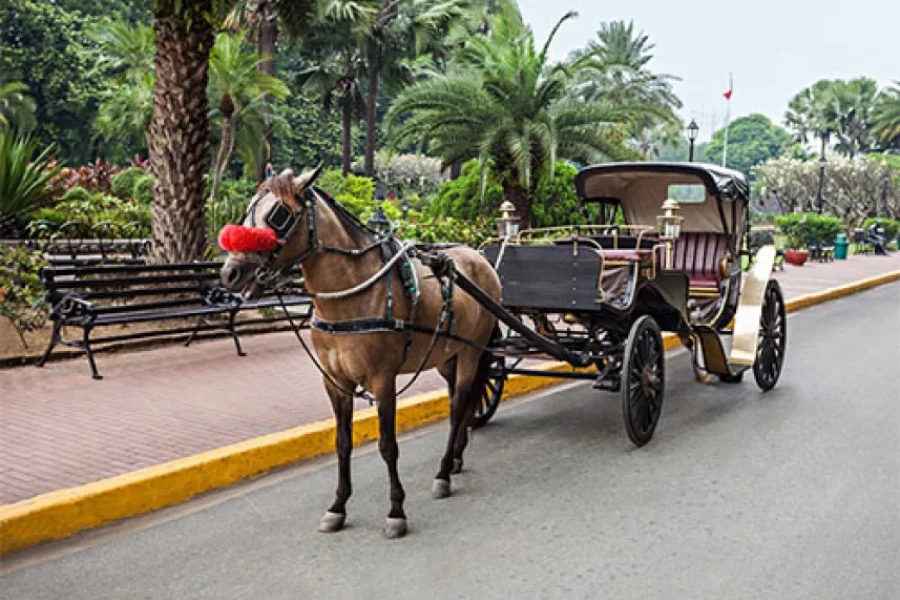Aswan Horse Carriage Trip