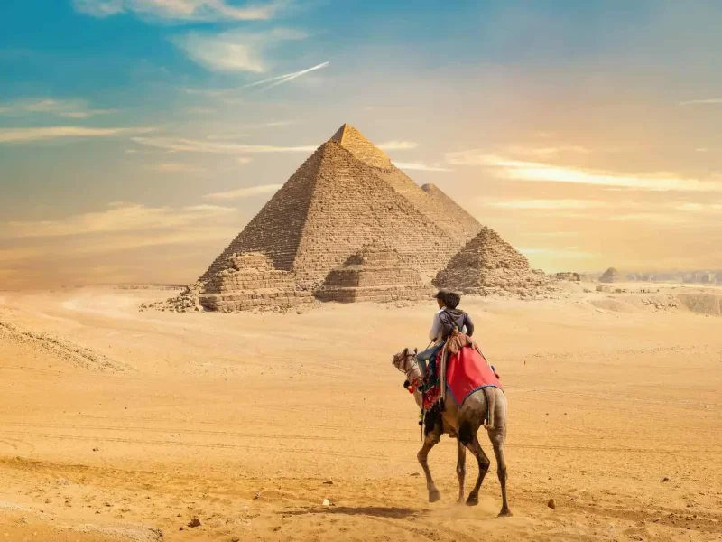camel-and-the-pyramids