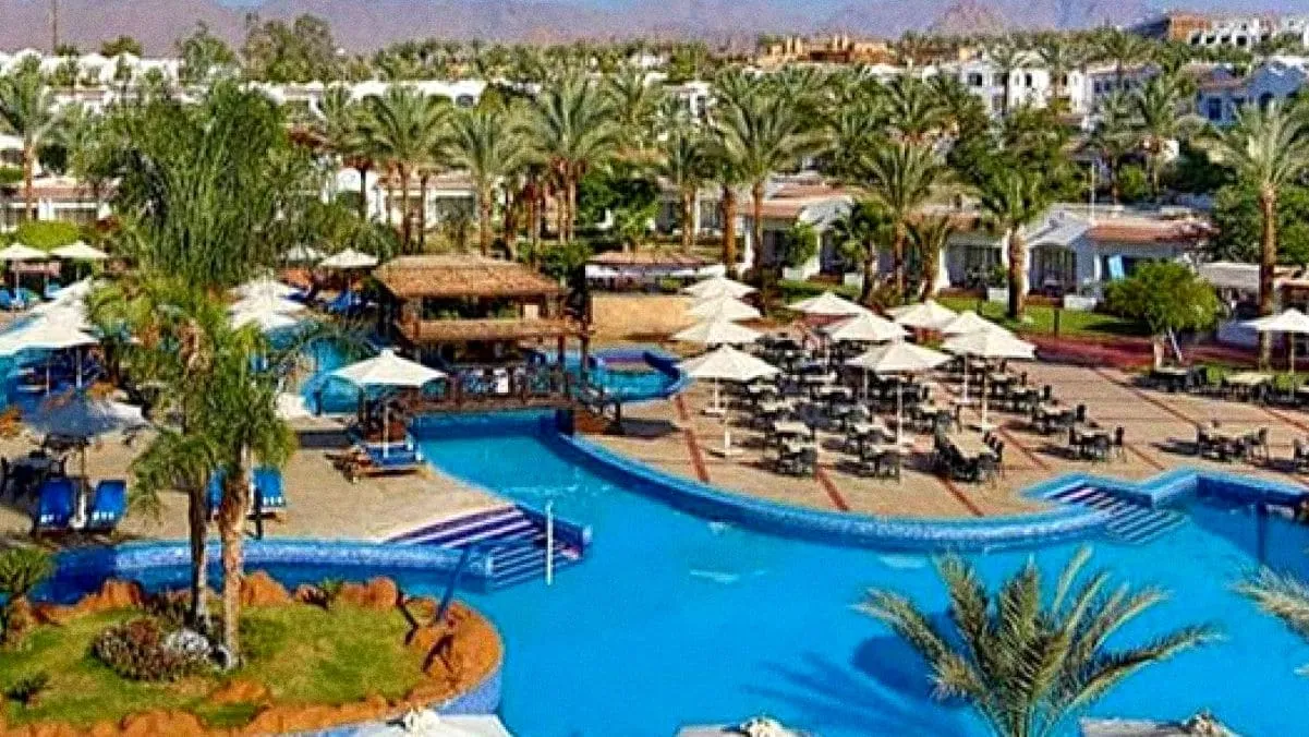 Day 3: Free Day in Sharm el-Sheikh